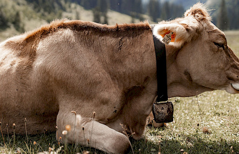 Südtirol in Italien