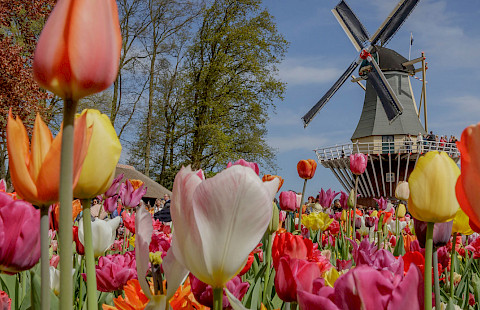 Amsterdam in Niederlande